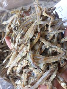High Quality Dried Anchovies <b>Sprats</b> From Vietnam Agriculture Product Directly From Ms. Yaminnt - Product Image 4