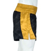 Service OEM de logo personnalisé, shorts de sport 100% polyester, respirants, séchage rapide, écologiques, élastiques, pour Muay Thai et entraînement MMA