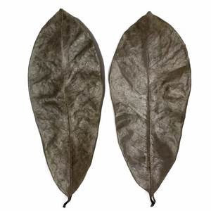 Vietnam supplier of dried Annona muricata leaves, carefully processed for herbal <b>tea</b> production, wholesale sourcing for global - Product Image 3