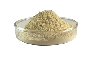 Papaína en Polvo de Alta Actividad 800 TU para una Digestión Eficiente de Proteínas, Apoyo Digestivo y Aplicaciones Comerciales en Alimentos - Product Image 2