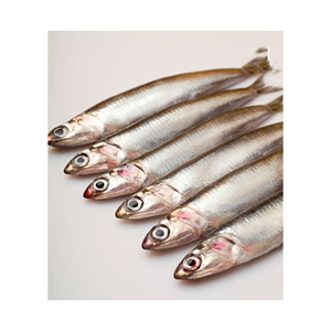 Anchois, petits poissons populaires pour la cuisine méditerranéenne et asiatique - Product Image 3