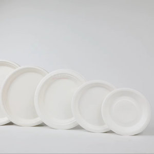 Assiette jetable biodégradable en bagasse de canne à sucre de 7 pouces, sans plastique, non toxique, certifiée ISO, compostable, écologique, sans BPA - Product Image 3