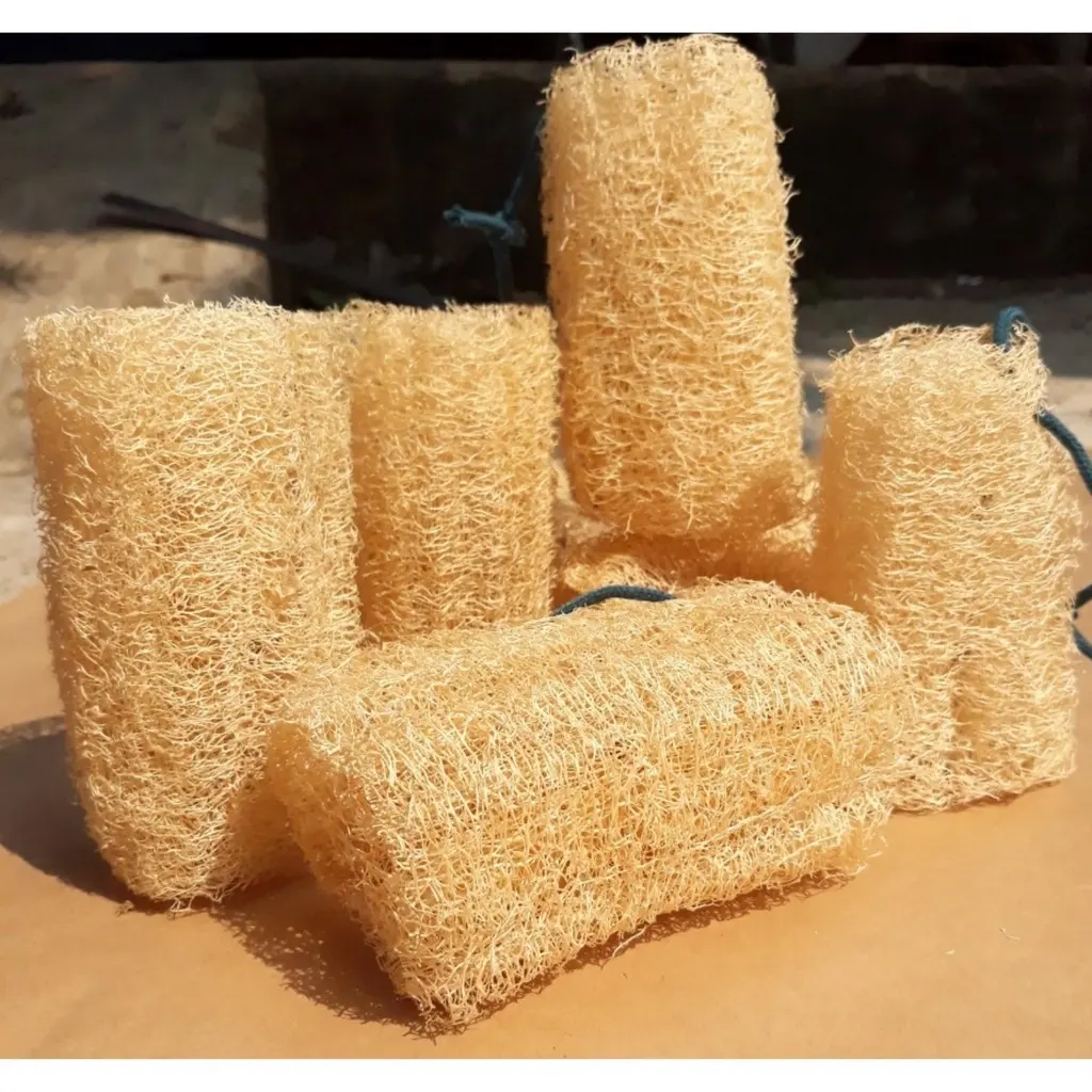 LoofahスポンジベトナムOEMボディスクラバークレンジング用のパッキング/ドライルファバスパッドマットをカスタマイズ