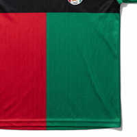 Camiseta de Fútbol Personalizada de Palestina, Cuello en V, 100% Poliéster, Gestión de la Humedad, Uniforme Profesional para el Equipo Palestino
