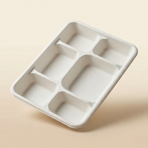Super Quality <b>Pulp</b> Moulded Disposable 6CP Meal Tray Biodegradable Eco-Friendly Party Sustainable Packaging Bulk Supply Private - Product Image 4