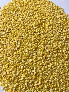 ถั่วเขียวอินเดียสีเหลืองธรรมชาติ คุณค่าทางโภชนาการสูง เหมาะสำหรับการทำอาหารประจำวัน ผลิตขนมขบเคี้ยว บรรจุภัณฑ์ขนาดใหญ่ ขายส่ง - Product Image 2
