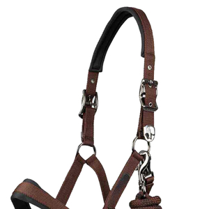 Cabestros de Equitación Personalizados, Fabricantes Profesionales, Venta Caliente, Precio Económico - Product Image 2