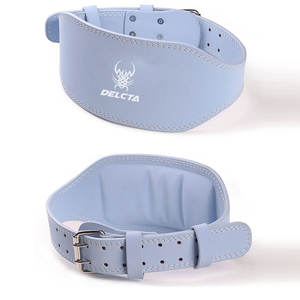 Ceintures de musculation de style unique à faible MOQ, vente en gros de ceintures de protection pour le sport et l'extérieur - Product Image 1