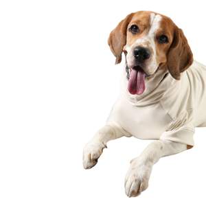Ropa Cálida para Cachorros con Logotipo Personalizado, Sudadera con Capucha para Perro de Diseño Nuevo, Sudadera con Capucha de Felpa de Algodón Sólido de Lujo, Cómoda y Lavable - Product Image 2