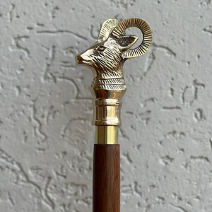 Bâtons de marche rustiques modernes en bois naturel écologique avec poignée en laiton poli, idéaux pour les cadeaux - Product Image 1