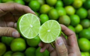 Meilleur prix Citrons verts frais sans pépins Taille 4,5-6 cm Paquet de 10 kg Durée de conservation de 5 mois Certifié HACCP ISO Origine Vietnam/Hazel - Product Image 1