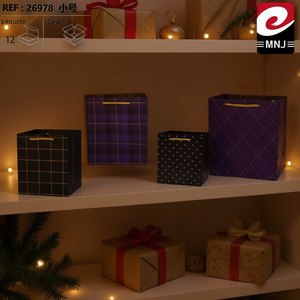 Borse portaoggetti multiuso 23*18*10 BOLSA REGALO Borsa regalo - Product Image 3