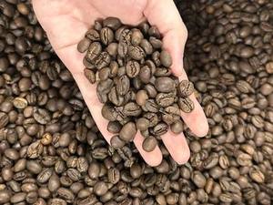 กาแฟเวียดนามดักลักโรบัสต้าเมล็ดเต็มคุณภาพสูง ยอดขายดีที่สุด คั่วกลาง รสหวาน กลิ่นหอมเข้มข้น - Product Image 2