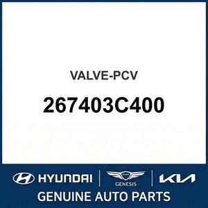 อะไหล่รถยนต์และรถบรรทุกอื่นๆ ของ Palisade รุ่นใหม่ 267403C400 - Product Image 1