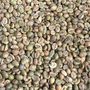 Sustainable <b>Robusta</b> Green <b>Coffee</b> <b>Beans</b> for <b>Coffee</b> Roasting Dry Process Size 18 30% G4 Vietnam Highland Export - Product Image 6
