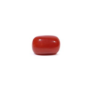 Natural Red Coral Oval Cabochon Loose Gemstone 3.65 Carat Certified Wholesale - Product Image 3