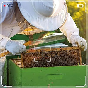 Gants d'apiculture robustes en cuir avec manches longues en coton, gants de protection pour ruches, pour l'apiculture et la collecte du miel - Product Image 6