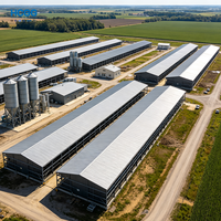 Bâtiment de stockage agricole à ossature en acier pour entrepôt de cerises et baies, galvanisé à chaud, pour le stockage de céréales et de fruits, design moderne