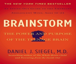 Brainstorm de M.D. Libro de bolsillo de Siegel Daniel J, éxito de ventas para adultos - Product Image 3