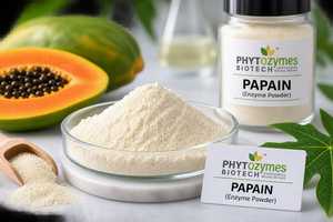 Poudre d'enzyme de papaïne préservée pour l'exportation indienne – Dégustation des protéines, attendrisseur de viande, hydrolyse des protéines, volaille en vrac, aquaculture - Product Image 3
