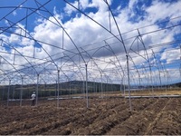 Agriculture Tomate Tunnel à travées multiples Serre Agricole Maison Verte Cadre Métallique Horticulture Serre Tropicale Prix