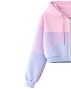 Conjunto de Sudadera Corta con Cremallera y Pantalones Cortos para Mujer, Rosa, Lavanda, Azul, con Estampado de Margaritas, Bolsillos Cargo, Estilo Casual, Poliéster y Algodón, Venta al por Mayor - Product Image 5