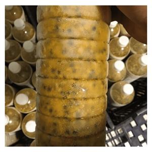 Puré de maracuyá con semillas, congelado IQF, elaborado con pulpa de maracuyá madura para mezclas de bebidas, smoothies y postres. - Product Image 4