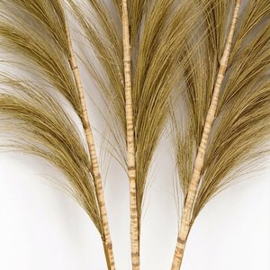Hierba Seca Natural Rayung Hecha a Mano, Estilo Pampas, para Rellenar Jarrones, Decoración del Hogar - Product Image 3