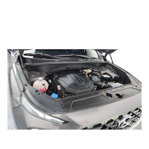 Hyundai Santa Fe Diésel 2.2 2WD Automático 2021 con Asientos de Cuero, Volante a la Izquierda, Estándar de Emisiones Euro V, 62,852 km - Product Image 6