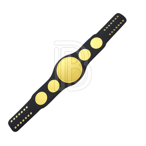 Professional Custom Pakistan Made Championship Belts Best Quality Wrestling Belt Custom SIze Championship Belts - Product Image 2