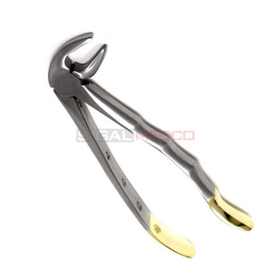 Pinzas Dentales de Extracción Dentadas MD3, Manuales, de Acero Inoxidable Alemán, para Incisivos Inferiores, Caninos, Bicánidos y Raíces, Calidad Premium, Doradas - Product Image 5