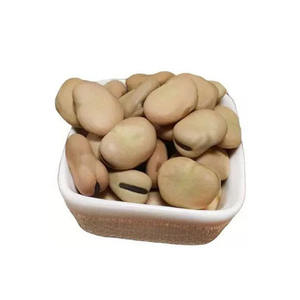 Millet indien 100% naturel entier et roulé Fournisseur par TRANSOCEANICAL IMPEX - Product Image 1