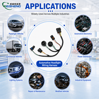 Aksesoris Mobil Lampu Depan Lampu Belakang Kabel Harness Lengkap Isolasi PVC Konduktor Tembaga Murni Buatan Khusus Otomotif ISO9001