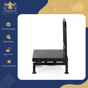 Báscula Digital de Plataforma ACE 500x500mm de Acero Suave Resistente a la Corrosión, Capacidad 120kg, Uso Industrial, 1 Año de Garantía - Product Image 6