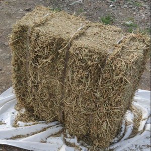 Heno de alfalfa comprimido rico en fibra para alimentación, que contiene proteínas y vitaminas, y ofrece heno de alfalfa de primera calidad. - Product Image 2