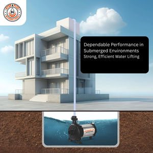 Bomba HYDROPLUS INTERNATIONAL con Productividad de 125L/Hora, 220V, para Uso Agrícola y Residencial - Product Image 2