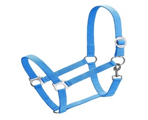 Collier de tête fantaisie en nylon PP clouté pour cheval, plusieurs couleurs, prix de gros - Product Image 6