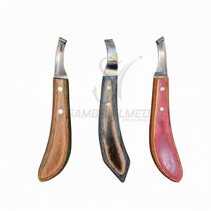 Kit Profesional de Herramientas para Herrador de Caballos de 10 Piezas, Acero Inoxidable J2, Alicates para Pezuñas, Cincher, Raspador, Cuchillo para Pezuñas, Extremo de Latón - Product Image 4
