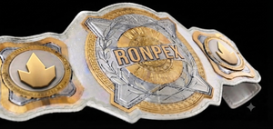 High Quality RONPEX Custom Championship Belt Brass & Leather Waterproof Unisex Martial Arts Training Equipment <b>28mm</b> Diameter - Product Image 6