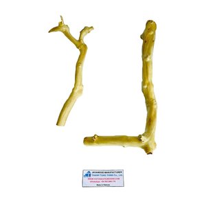 Productos en Tendencia 2026: Soporte para Pájaros de Madera de Java, Percha Grande para Loros, Accesorios Sostenibles para Mascotas al por Mayor - Product Image 6