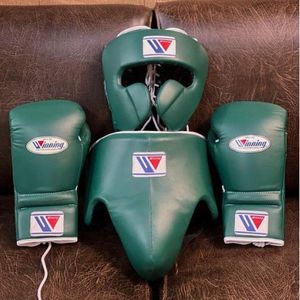 Guantes de Boxeo Profesionales para Sparring y Protector de Cabeza e Ingle, Juego de Alta Calidad en Cuero Genuino para Artes Marciales - Product Image 1