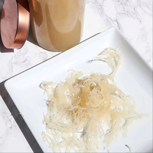 Musgo Marino a Granel 2026 – Proveedor Vietnamita de Primera Calidad a Precio Competitivo - Product Image 1