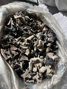 เห็ดหูหนูดำแห้งขนาดเล็กสำหรับไส้เกี๊ยวและปอเปี๊ยะ - Product Image 6