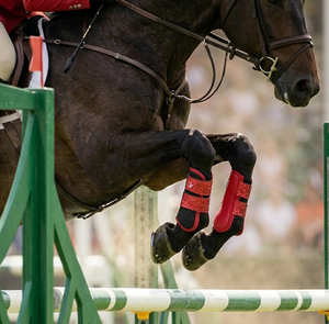 Equestrian High Quality Breathable Mesh Horse <b>Brushing</b> <b>Boot</b> Shockproof Strike Pad Neoprene Protect Tendon Lightweight Stardust - Product Image 6
