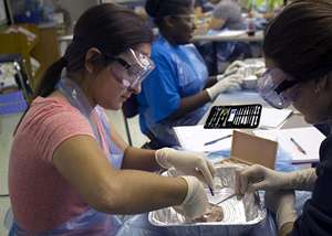 Juego de Instrumentos Quirúrgicos Manuales de Acero Inoxidable Personalizados para Emergencias, Combate Táctico y Supervivencia Médica Molle de Dentavex - Product Image 2