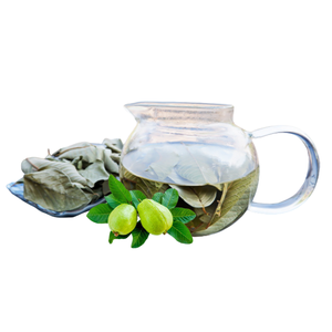 Mejor Precio Hoja de Guayaba Seca Natural Vietnamita en Bolsa al Vacío 10kg Exportación Comercial Origen Vietnam Importador Suministro Directo a Granel - Product Image 6