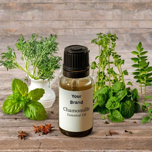 ODM/OEM Pure German Chamomile Essentia Oil GMP Certified Steam Distilled <b>Sweet</b> Applelike Odor OEMODM Available Supplied by Nepal - Product Image 5