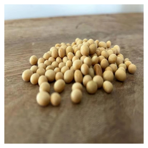 Soybean Seeds Non-GMO High Germination Agricultural Planting Seeds Farm Crop Wholesale Bulk Supply Export Supplier - Product Image 1