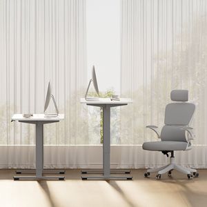 Scrivania Elettrica Regolabile in Altezza per Ufficio e Casa, 48 X 24 Pollici, con Doppio Motore, Scrivania Sit-Stand di Colore Verde - Product Image 3