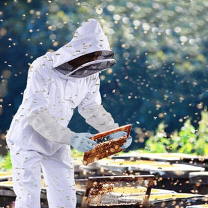 Traje de Apicultura Blanco para Hombre con Capucha de Malla, Overol de Trabajo Transpirable de Algodón, Traje de Apicultor - Product Image 6